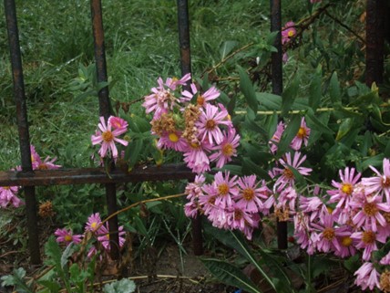 Duality, Prose by Kalli&nbsp;Rivera